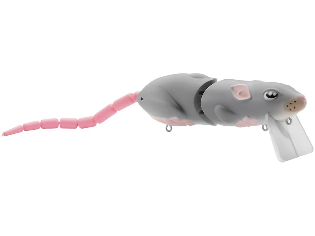BBZ1 Rat_Gray Ghost