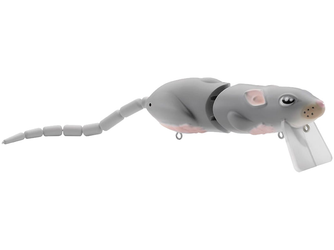 BBZ1 Rat_Gray Ghost