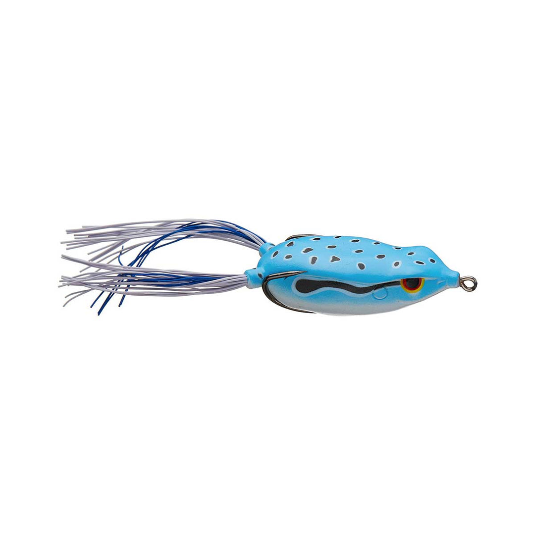 Bronzeye Frog_Blue Sky
