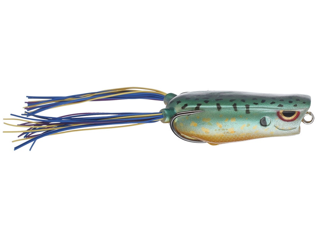 Bronzeye Poppin Frog_Sunfish