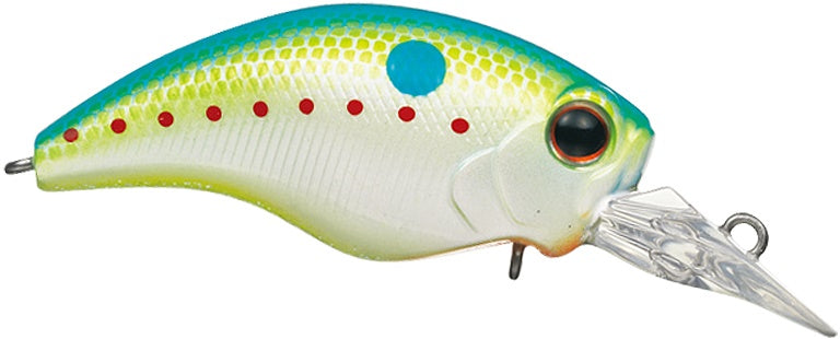 Ever Green WH-3 Champion Shad