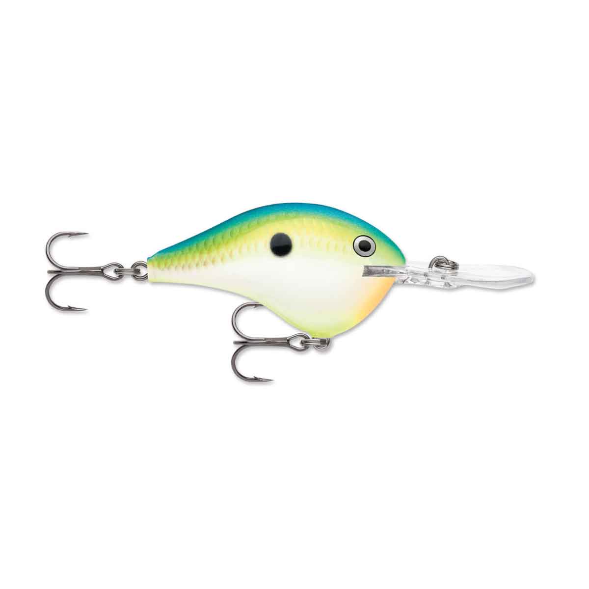 Dives-To_Citrus Shad