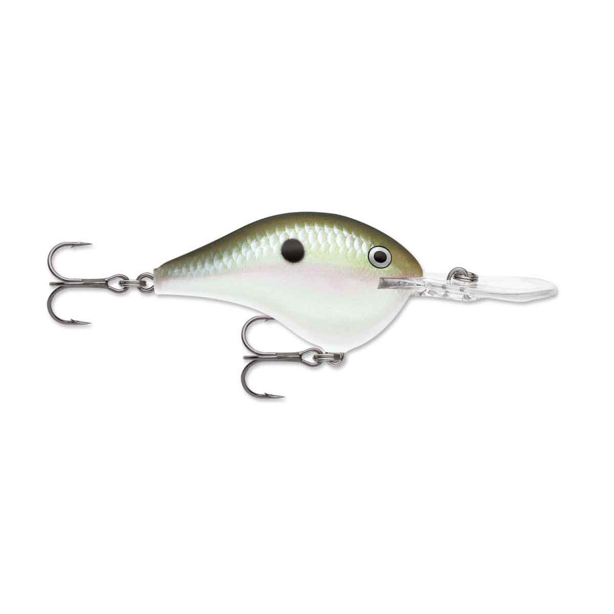 Dives-To_Green Gizzard Shad