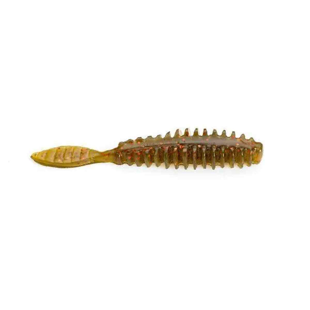 Erie Darter_Green Pumpkin Orange