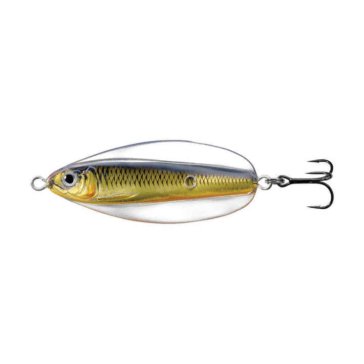 Erratic Shiner_Gold/Black* - Fishermans Central