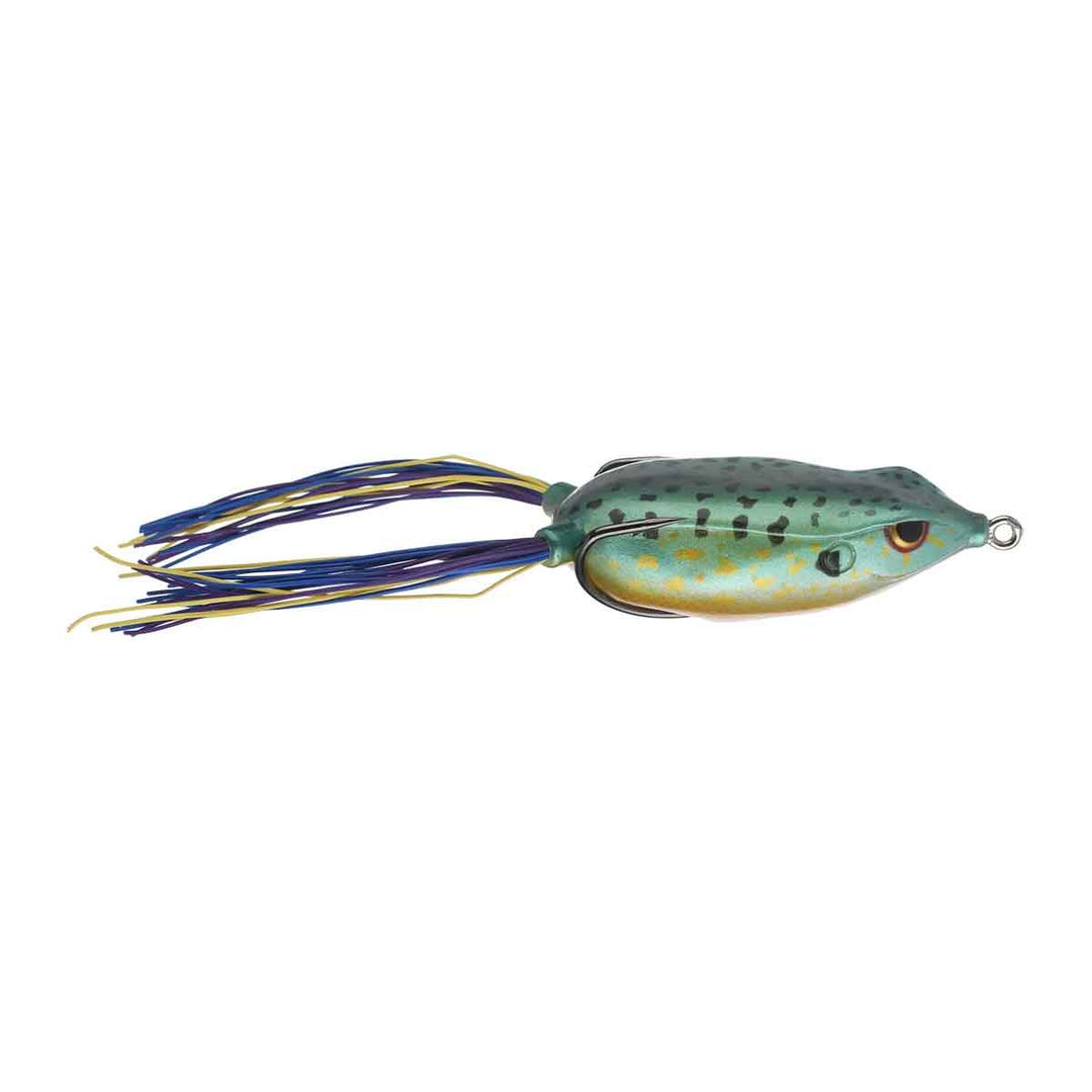 Bronzeye Frog_Sunfish