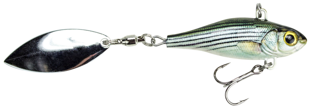 HASP13_hatchspin_whitebass