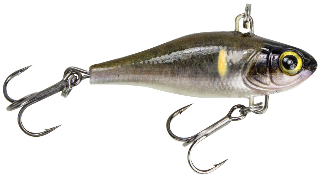 HATCH01_hatch_commonshiner