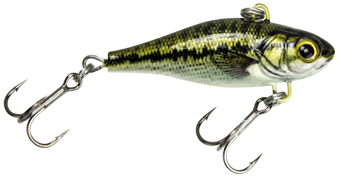HATCH04_hatch_bass