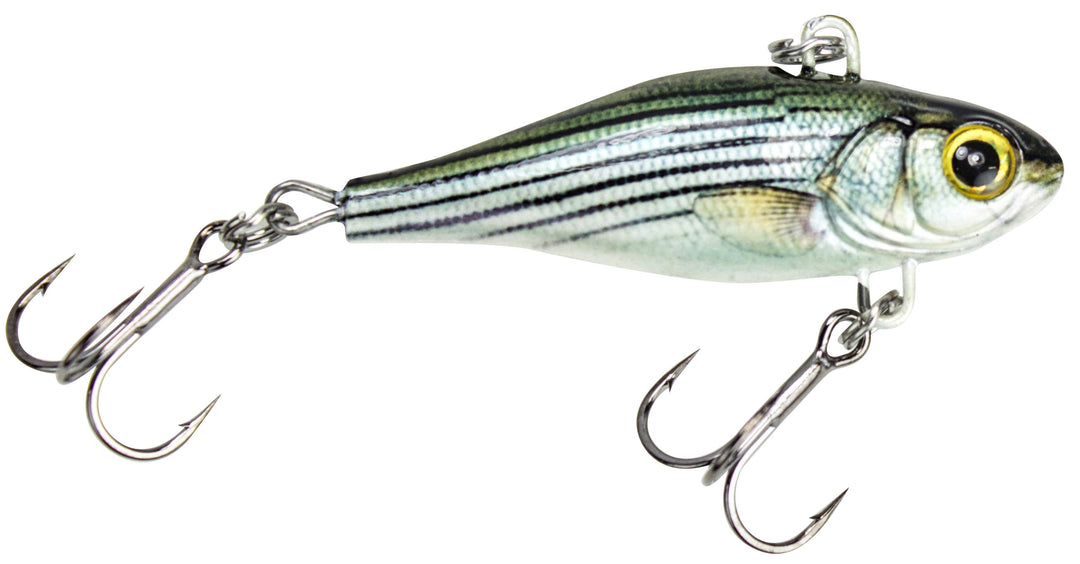 HATCH13_hatch_whitebass