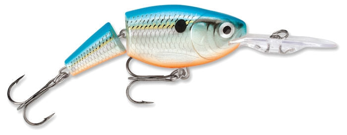 Jointed Shad Rap_Blue Shad