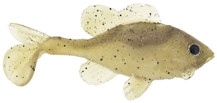 Little Creeper All American Sun Fish Female Bluegill