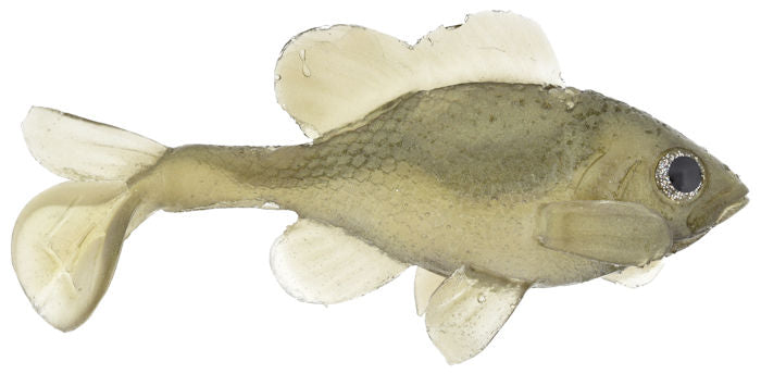 Little Creeper All American Sun Fish Female LC Gill