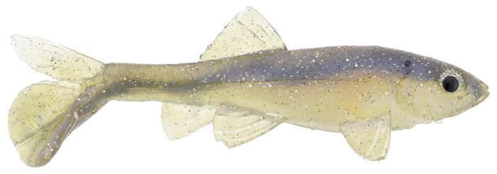 Little Creeper Trash Fish Blue Back Herring