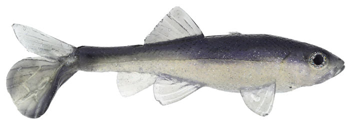 Little Creeper Trash Fish Just Shad