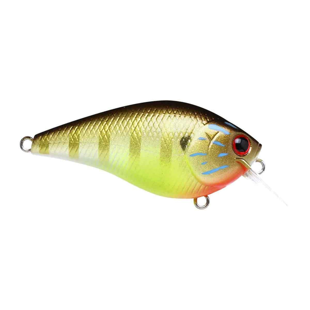 LC 1.5_Cow Boy Gill