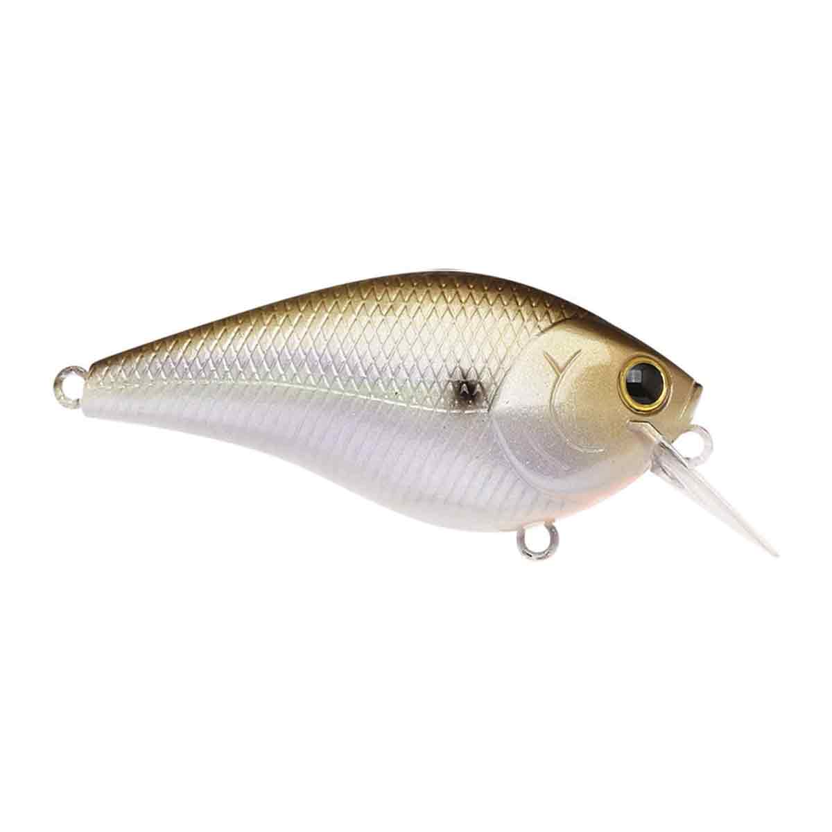 LC 1.5_Gizzard Shad