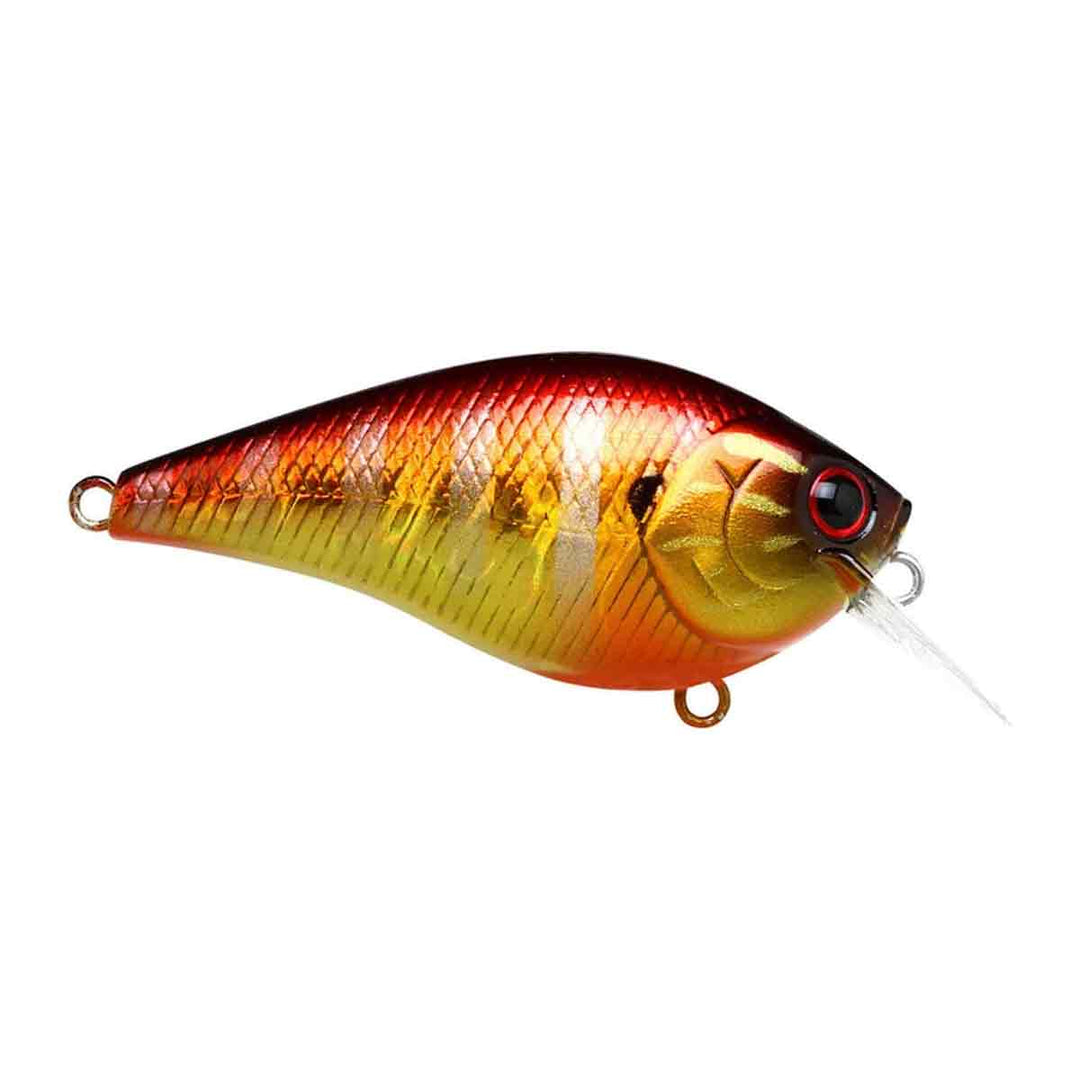 LC 1.5_Magma Heat Up Gill
