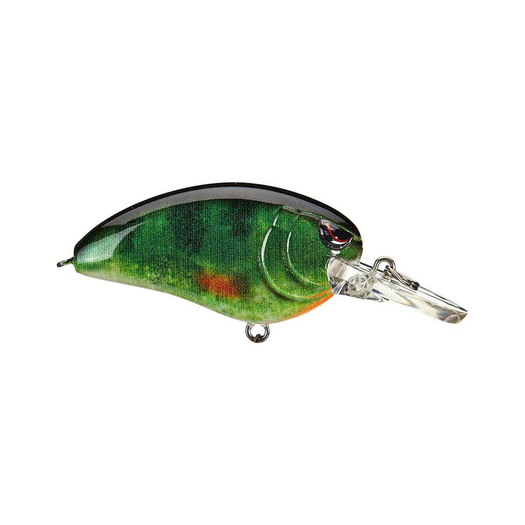 Little John_Real Perch