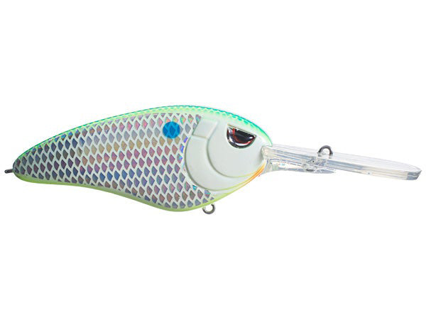 Little John Super DD_Citrus  Shad*