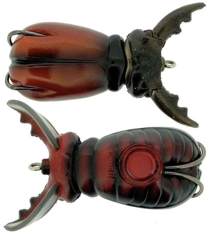 Supernato Beetle_Stag Beetle*