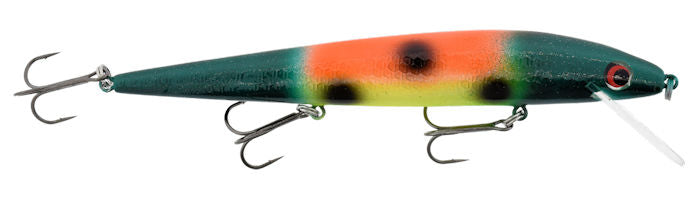 P10-Gator