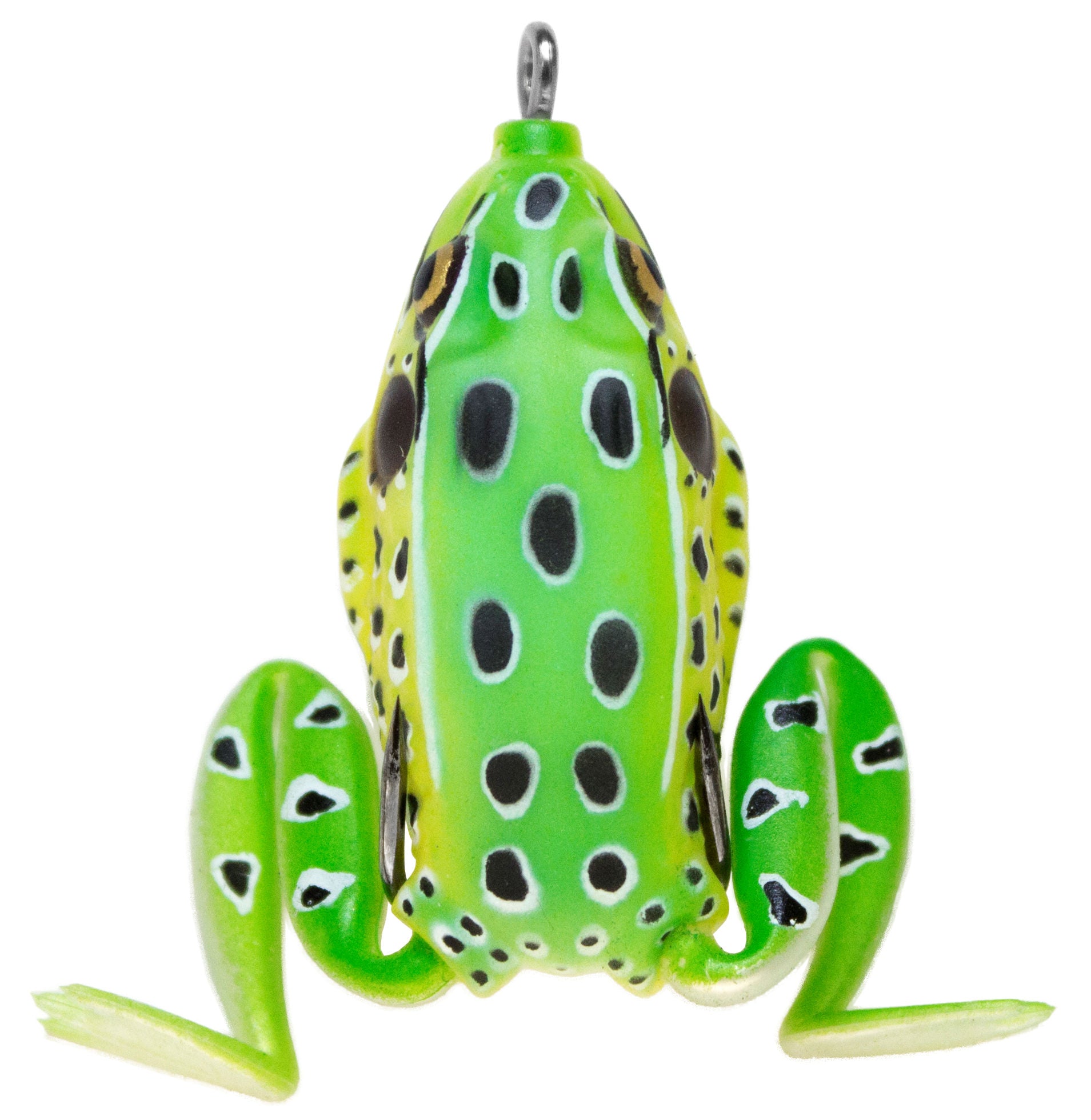 Pocket Frog_Leopard Frog