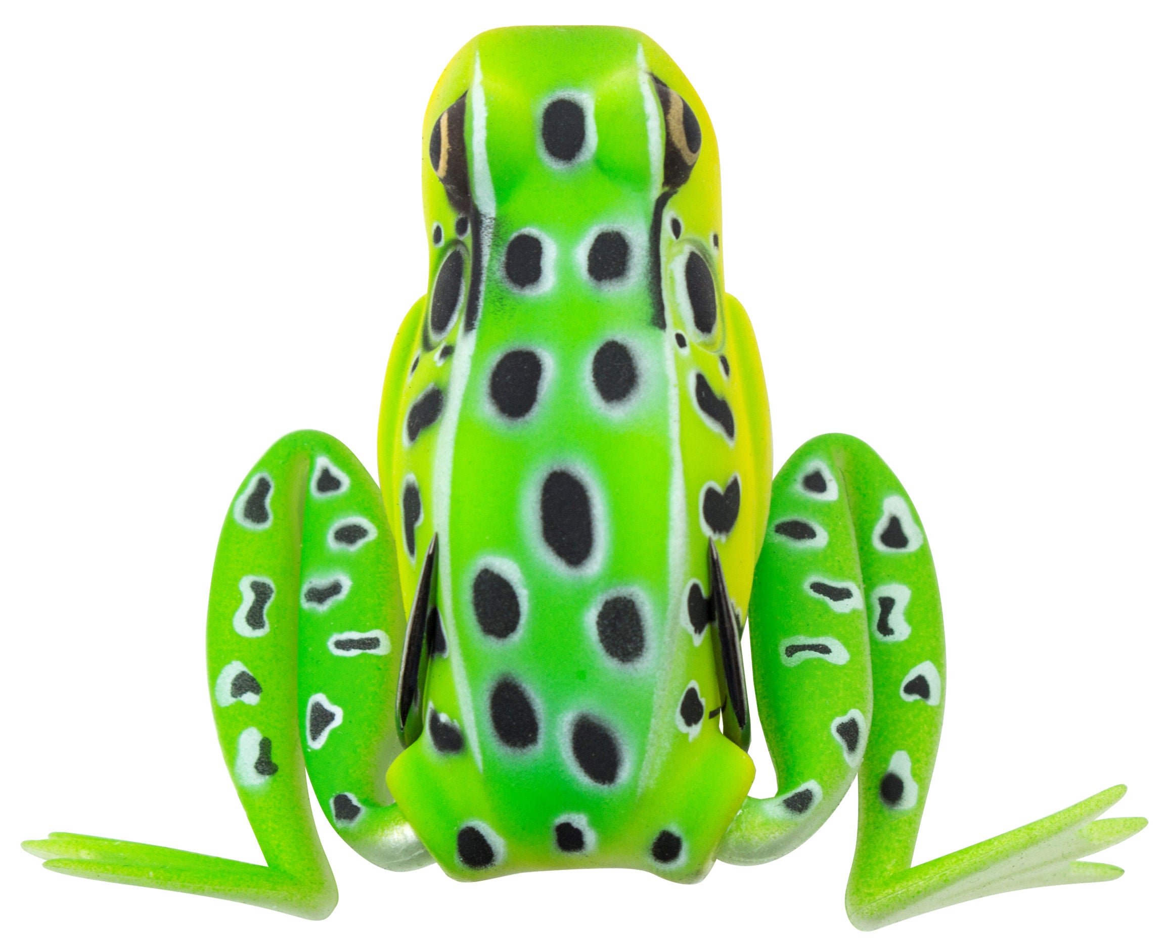 Popping Frog_Leopard
