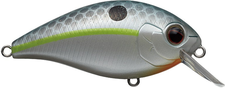 Ever Green SH-3 Queen Shad