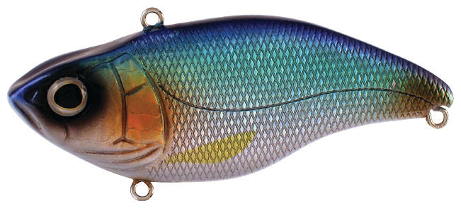 Spro Aruku Shad Jr. 60_Blue Shiner