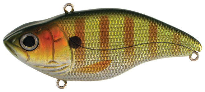 Spro Aruku Shad Jr. 60_Perch