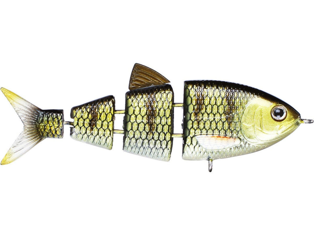 Shad 25_Wicked Perch