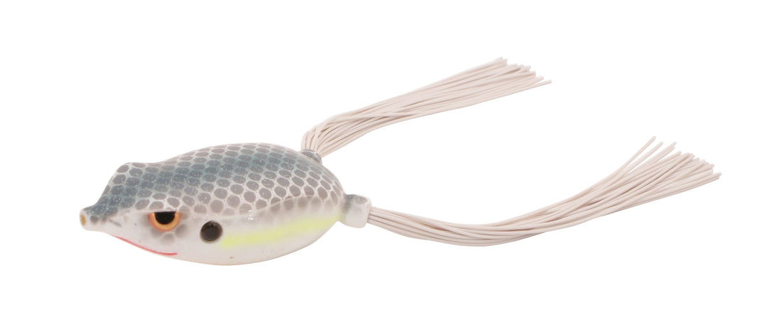 Bronzeye Frog_Nasty Shad