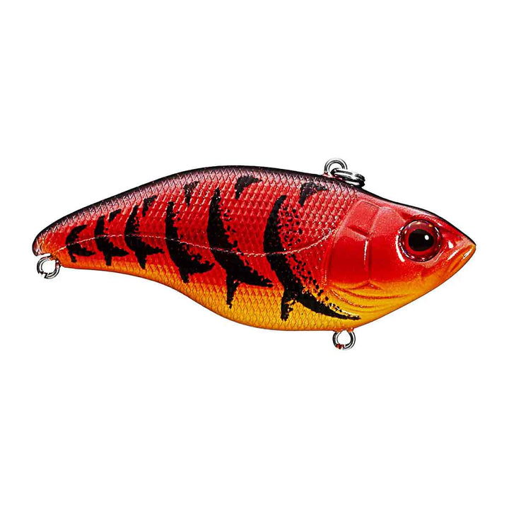 Aruku Shad_Western Craw