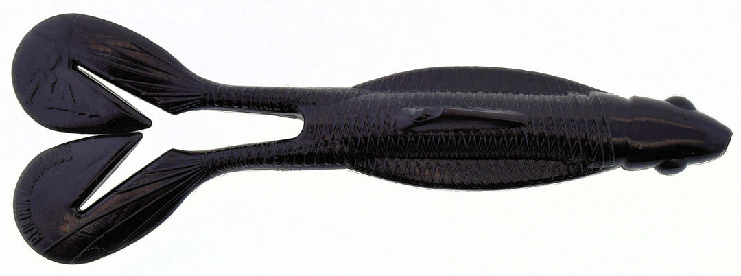 TS-081