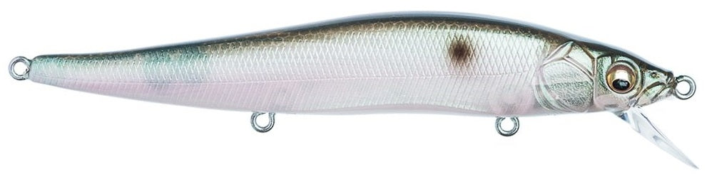Vision 110 Silent_MB Gizzard Shad