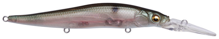 Vision 110+2_MB Gizzard Shad